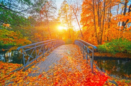 Autumn,Nature,Landscape.,Lake,Bridge,In,Fall,Forest.,Path,Way